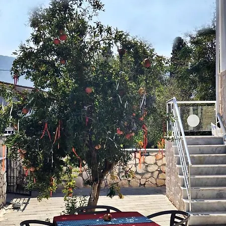 לינה וארוחת בוקר Ocean Suites